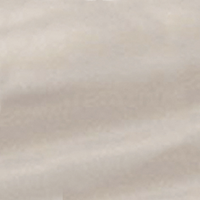 Artesian Oyster Opal Shell